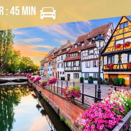 Appartement Moderne Avec Parking Gratuit Dinsheim